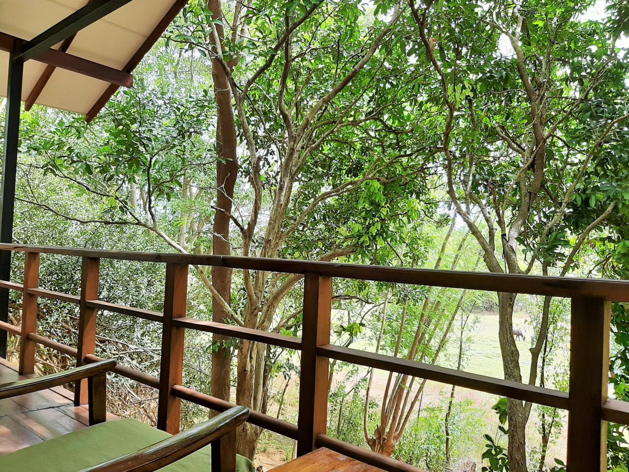 Elephant Lodge Udawalawe Eksteriør bilde
