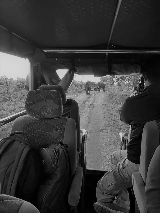 Elephant Lodge Udawalawe Eksteriør bilde