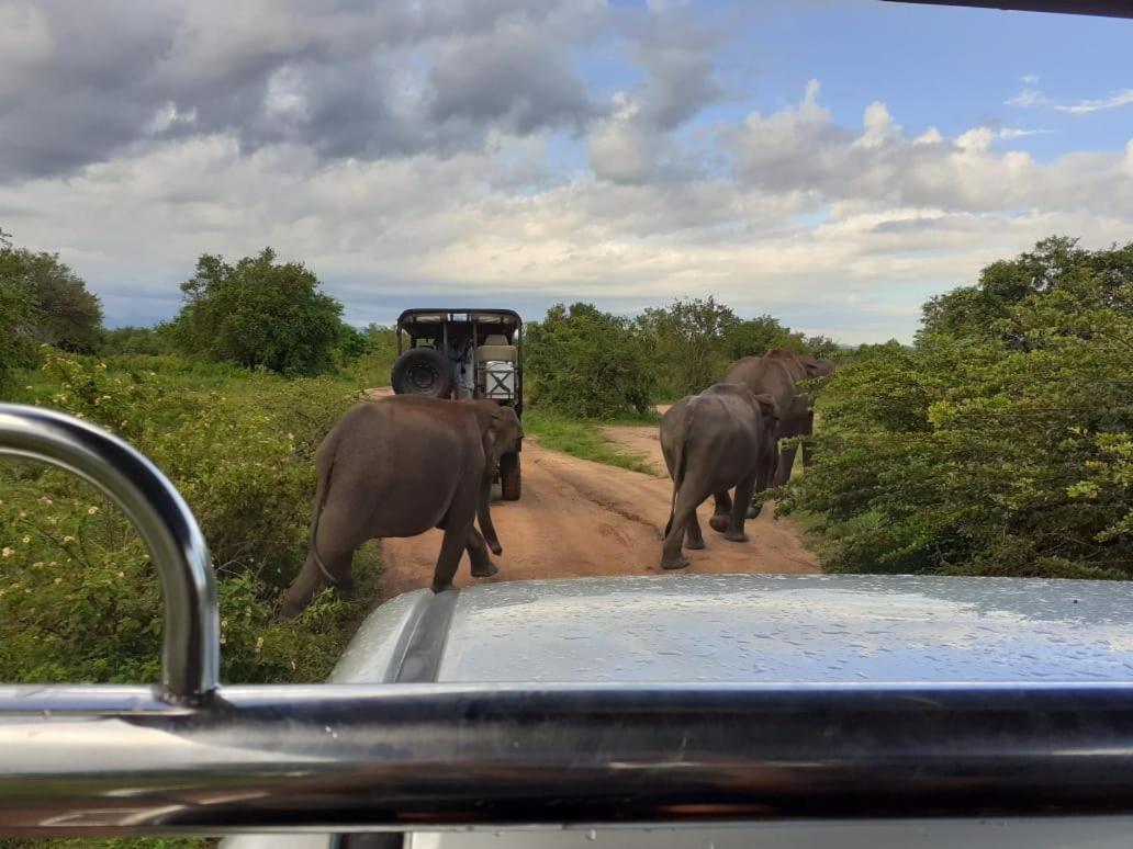 Elephant Lodge Udawalawe Eksteriør bilde