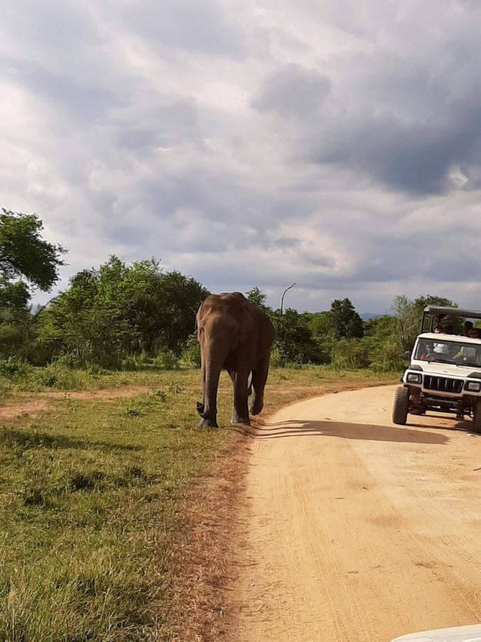 Elephant Lodge Udawalawe Eksteriør bilde